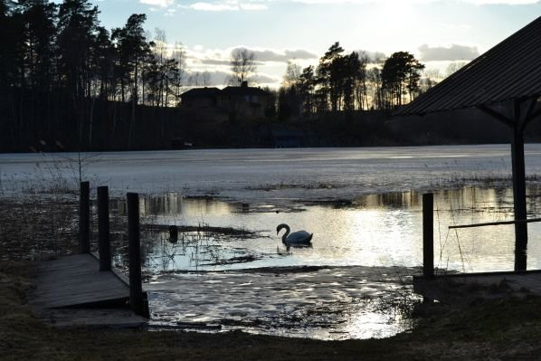 VardingeFHSKWebbsida-8